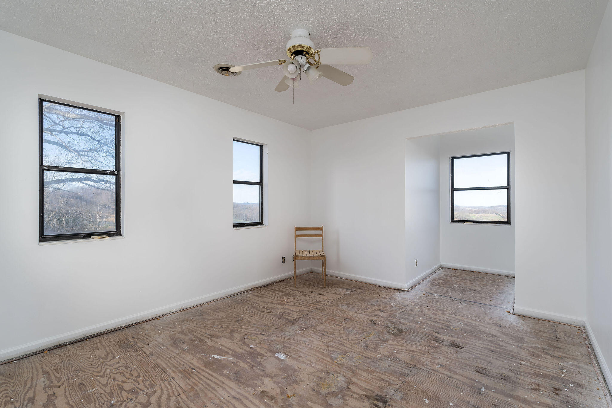 295 Cobb Road Surgoinsville, TN 37873 - Photo 12 of 20 DSC08455-Edit