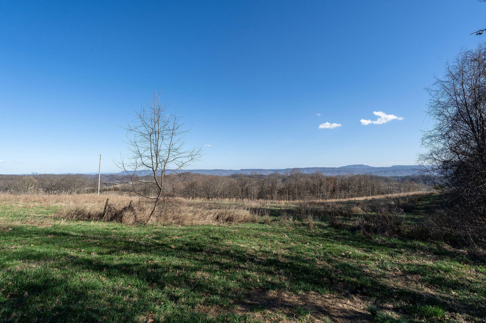295 Cobb Road Surgoinsville, TN 37873 - Photo 19 of 20 DSC08278-Edit