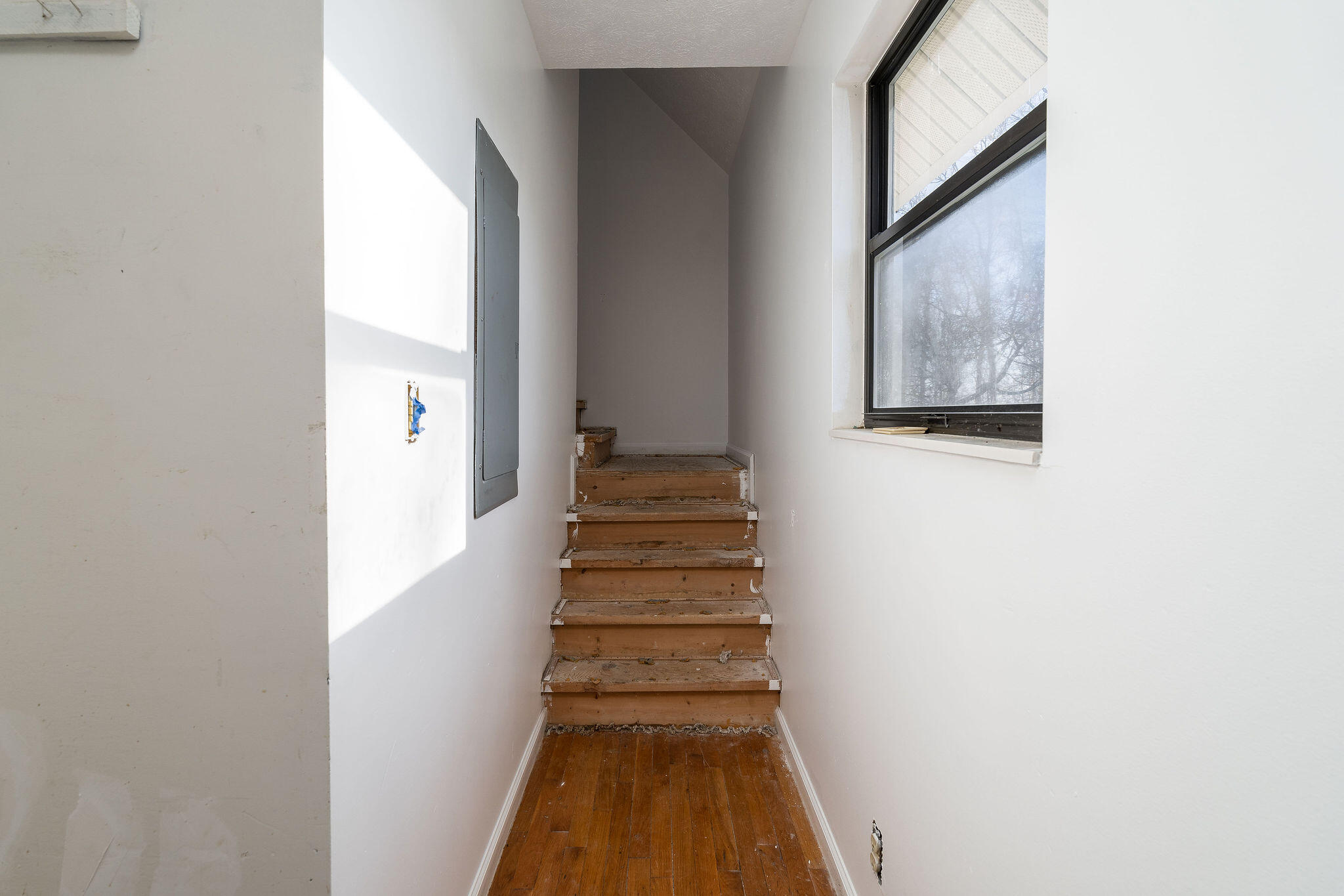 295 Cobb Road Surgoinsville, TN 37873 - Photo 9 of 20 DSC08428-Edit