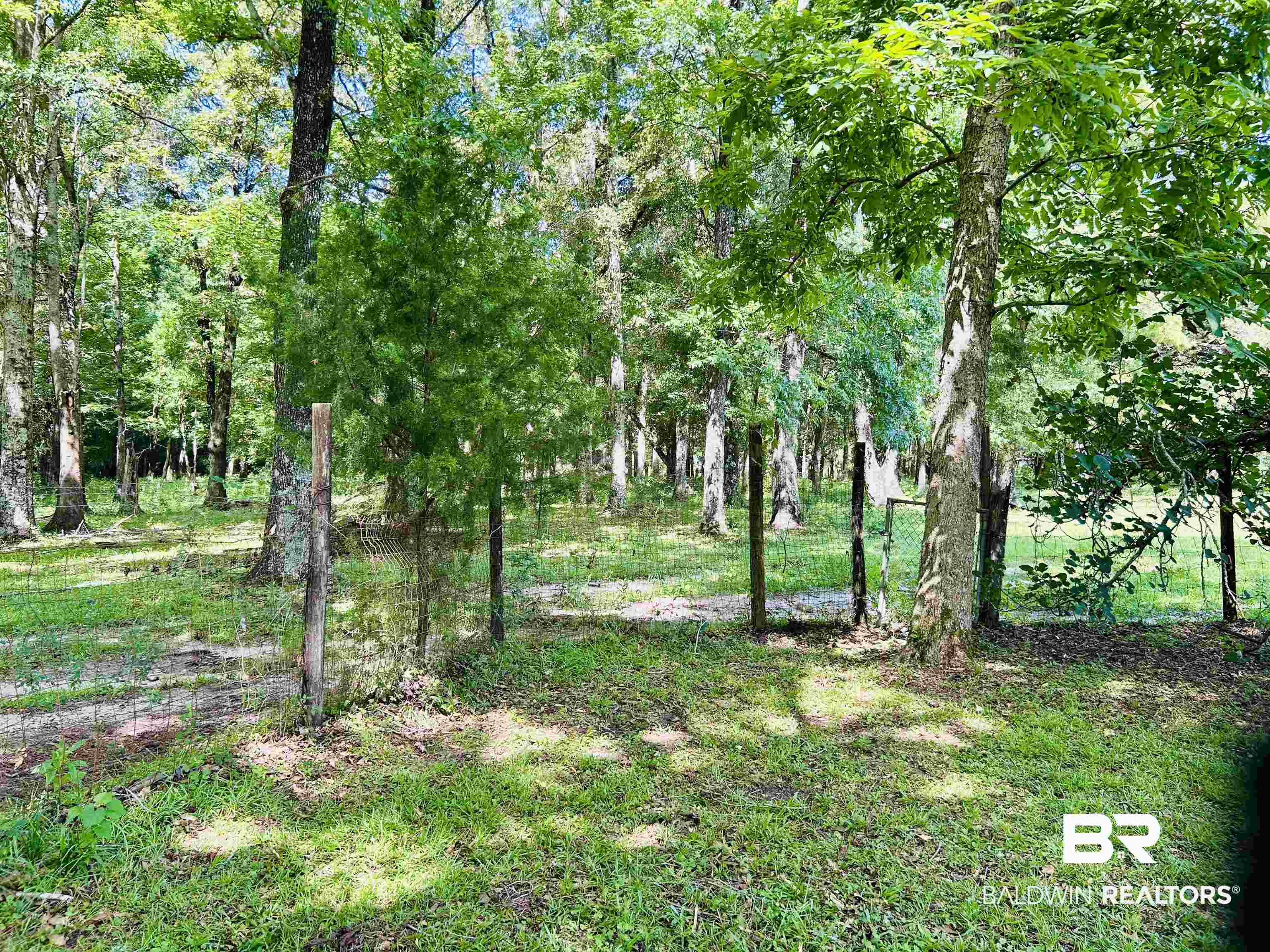 1350 A Schillinger Road South Mobile, AL 36695 - Photo 16 of 18 View of nature