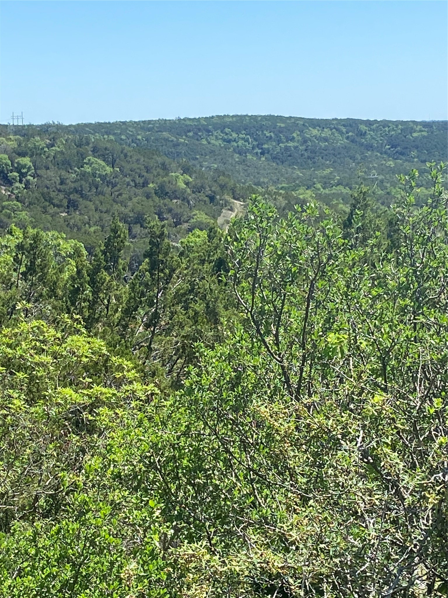 8617 Bar K Ranch Road Lago Vista, TX 78645 - Photo 8 of 10