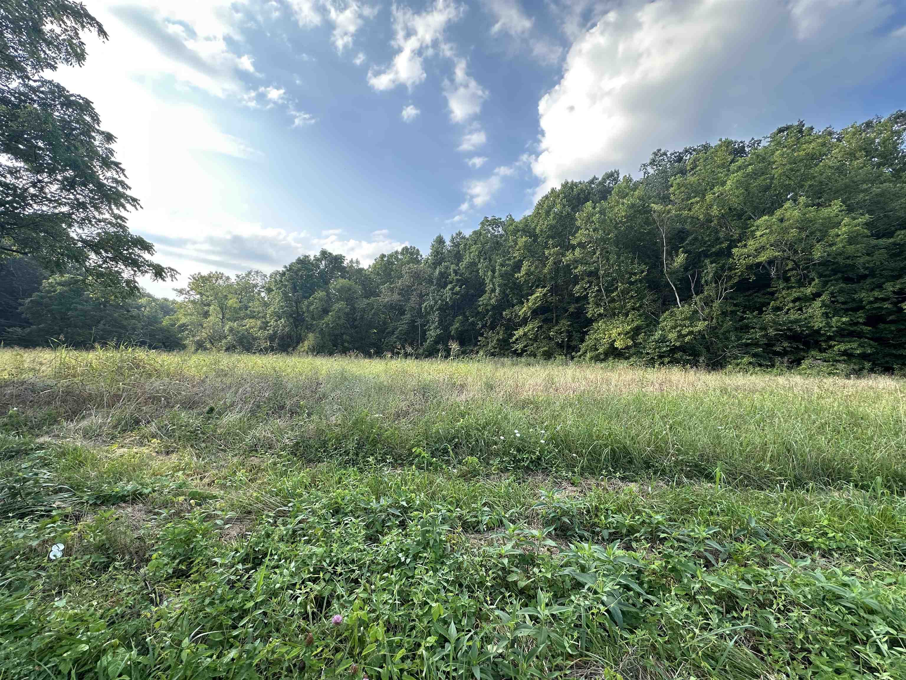 1834 Howe Hollow Hoods Run Road Greenup, KY 41144 - Photo 1 of 3