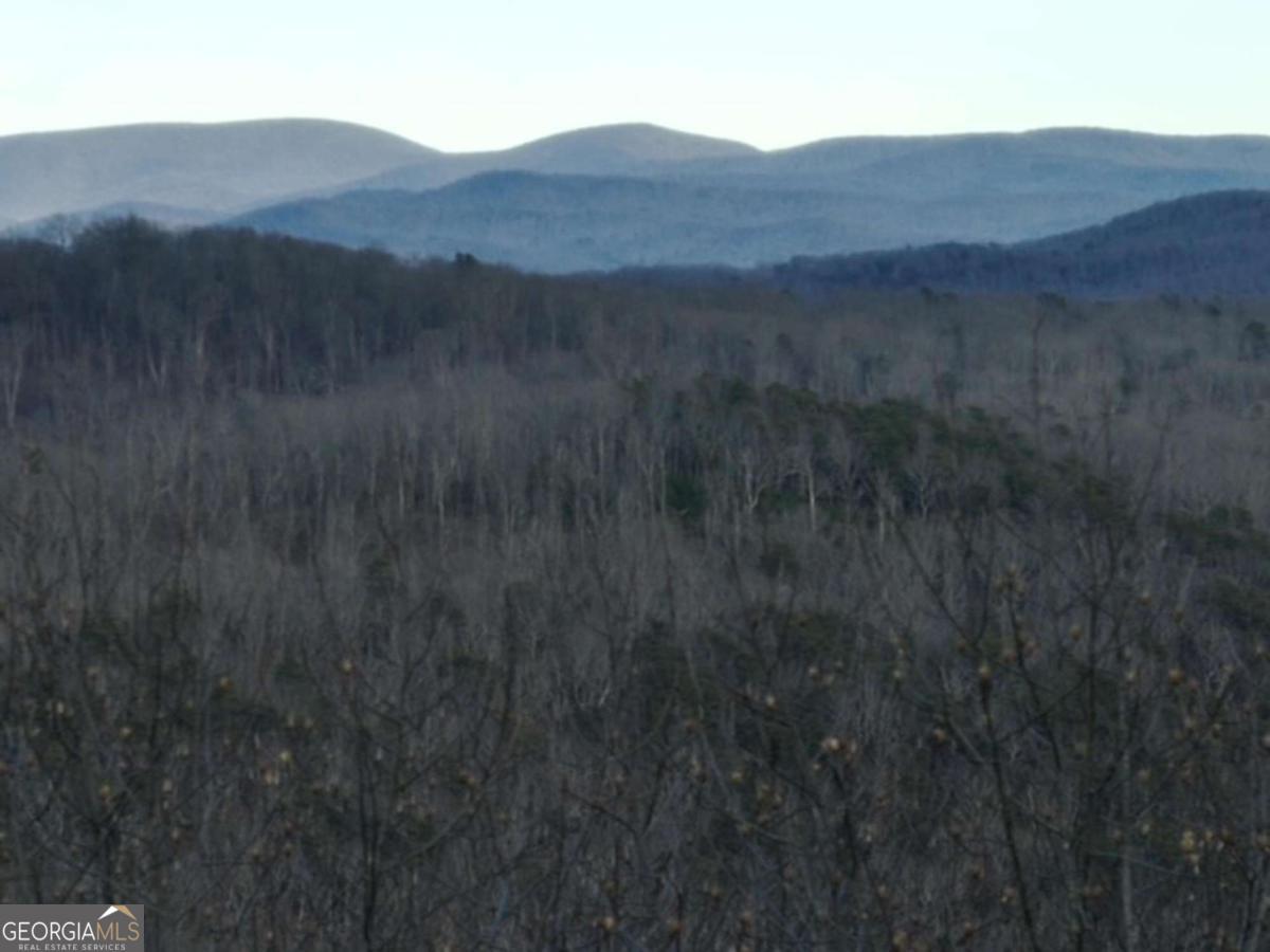279 Andes Ridge Talking Rock, GA 30175 - Photo 28 of 37