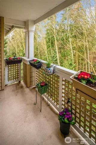 a view of a chairs and table in the patio