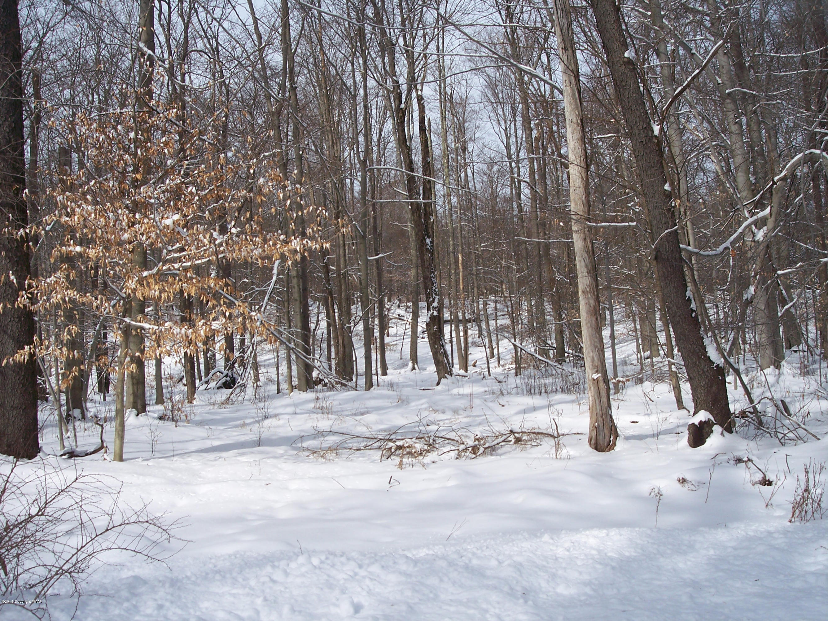 Winter 027