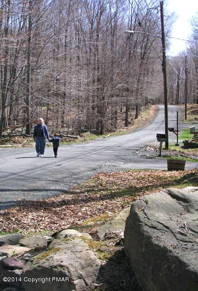 62 B Logger Road Canadensis, PA 18325 - Photo 8 of 18 Country roads
