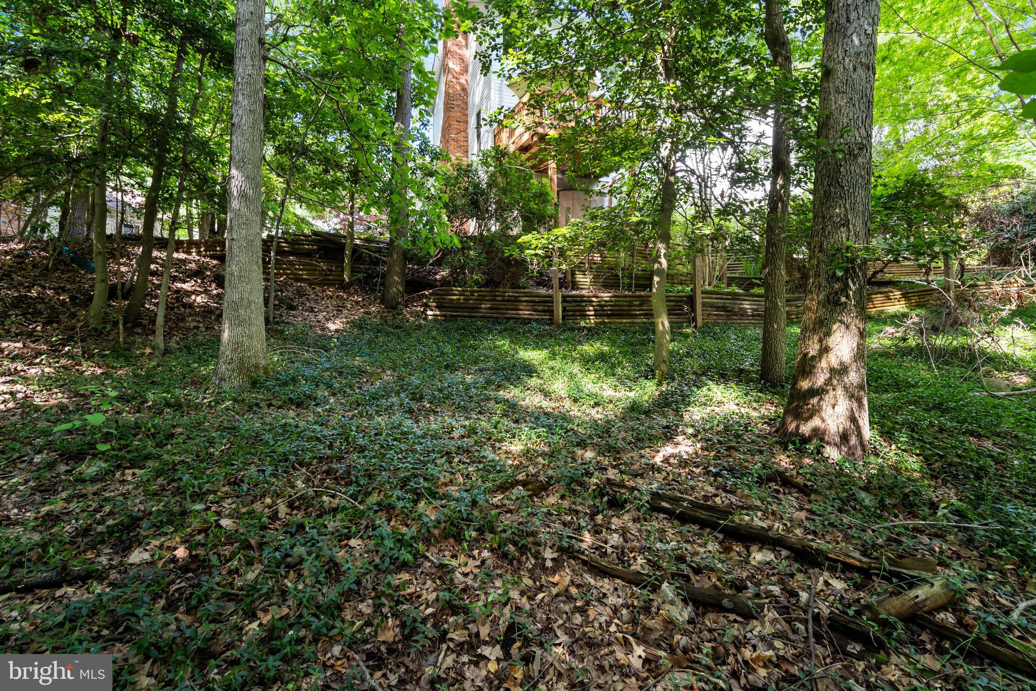 2576 Hidden Cove Road Annapolis, MD 21401 - Photo 32 of 56 Gallery Image 32