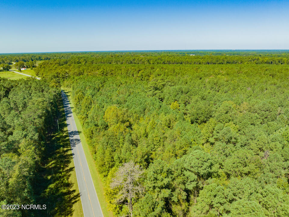 0 Trinity Church Road Magnolia, NC 28453 - Photo 25 of 47 25