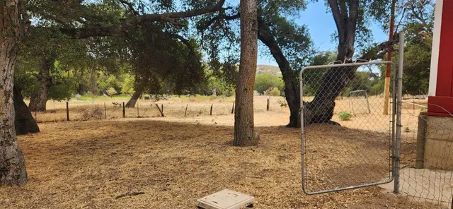 a view of a yard with a tree