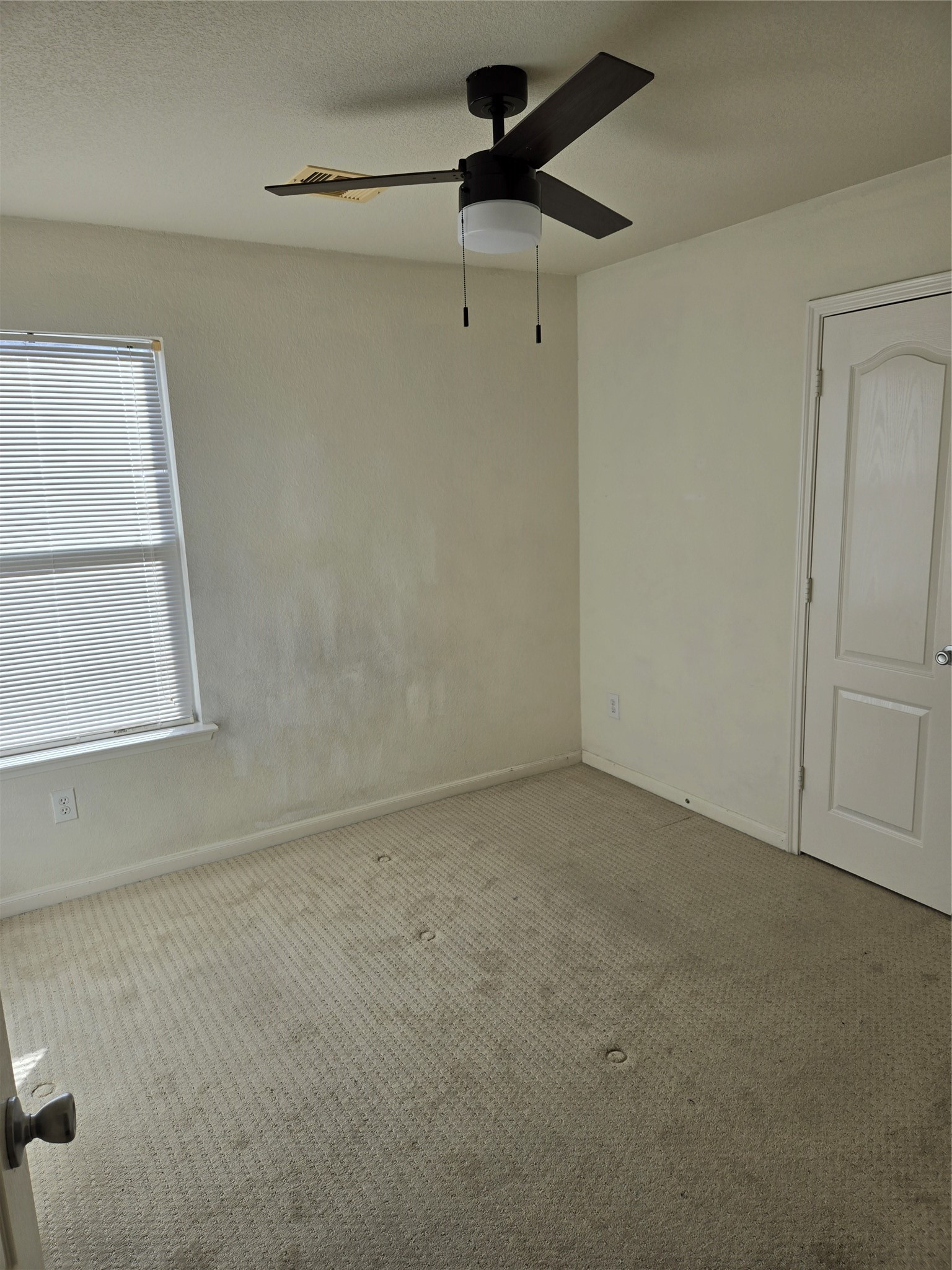 22014 Orchard Dale Drive Spring, TX 77389 - Photo 12 of 14