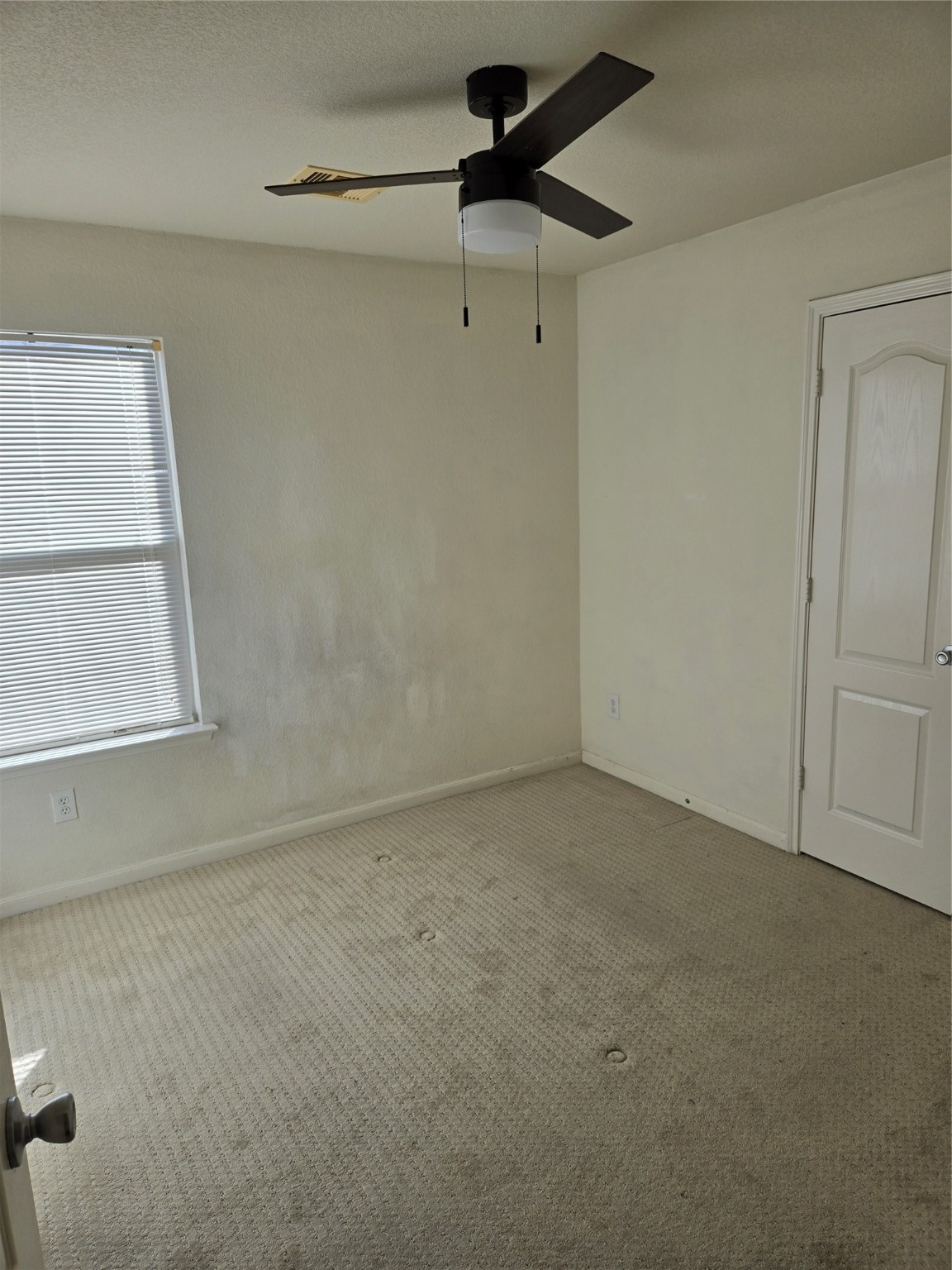 22014 Orchard Dale Drive Spring, TX 77389 - Photo 12 of 14