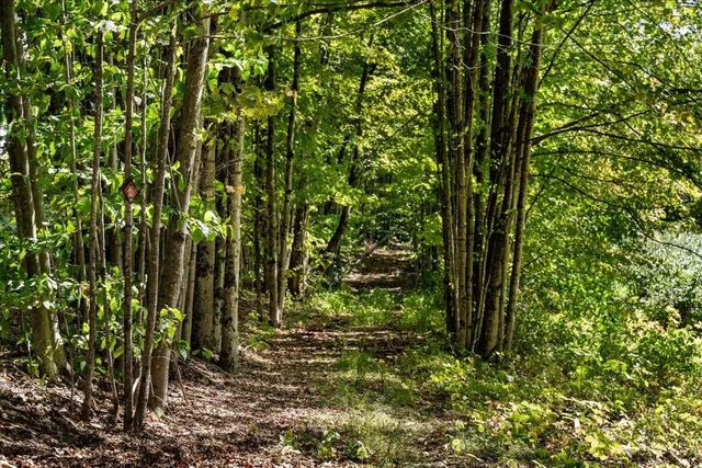 $2,200,000 | 22 Abberton Road, Canterbury, NH 03224