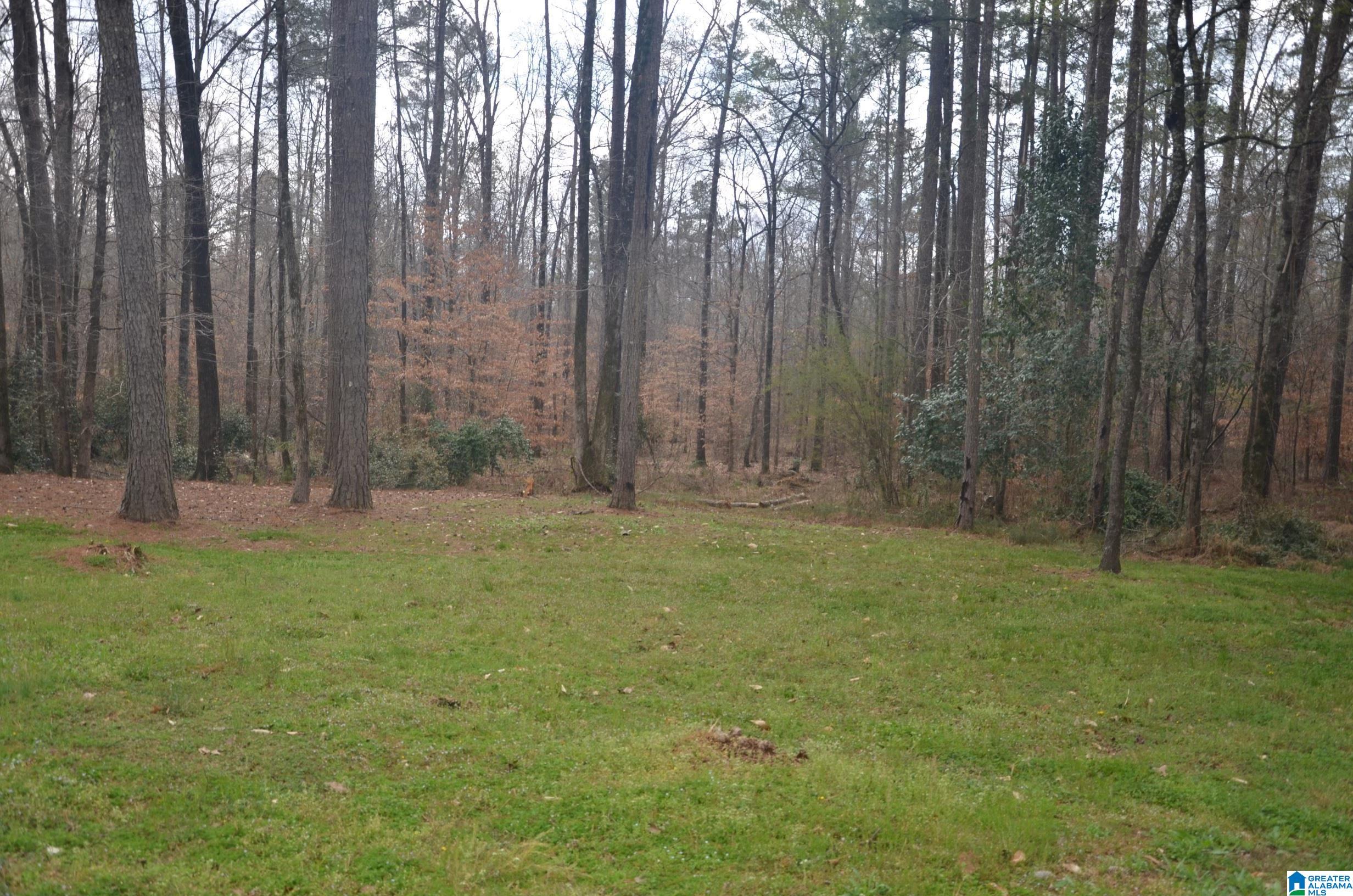 0 Settlers Ridge Alabaster, AL 35007 - Photo 7 of 19