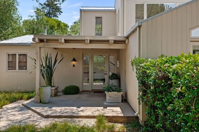 a view of a white house with potted plants and a large tree