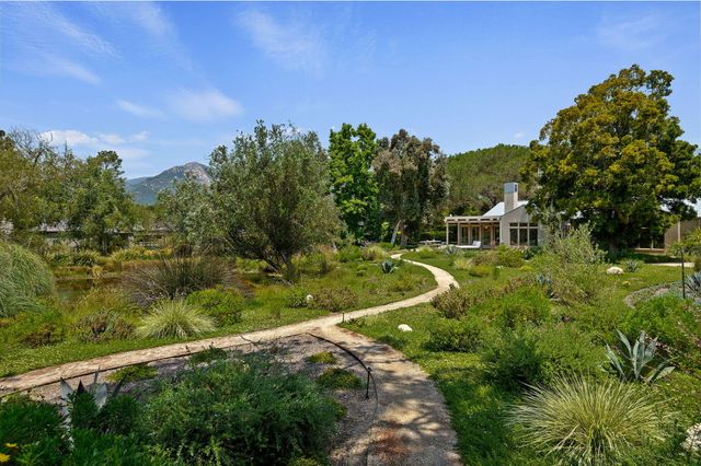 a view of a big yard with potted plants and large tree