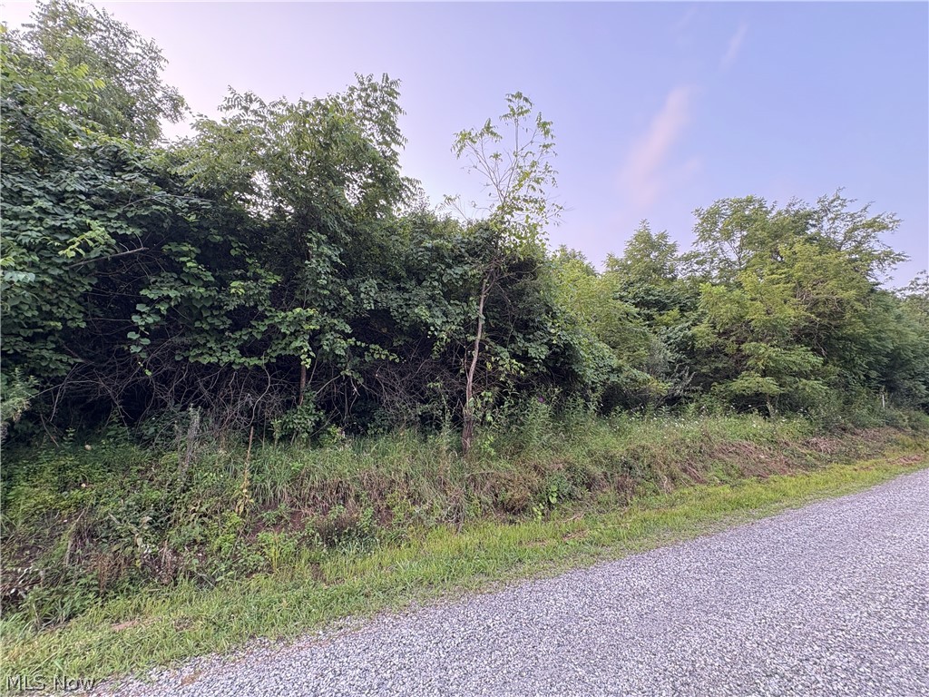 Britton Road Senecaville, OH 43780 - Photo 4 of 11 Road frontage