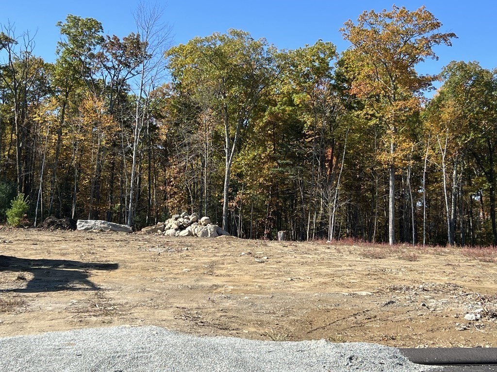 Lot 86 Turning Leaf Road Ludlow, MA 01056 - Photo 3 of 27 Gallery Image 3