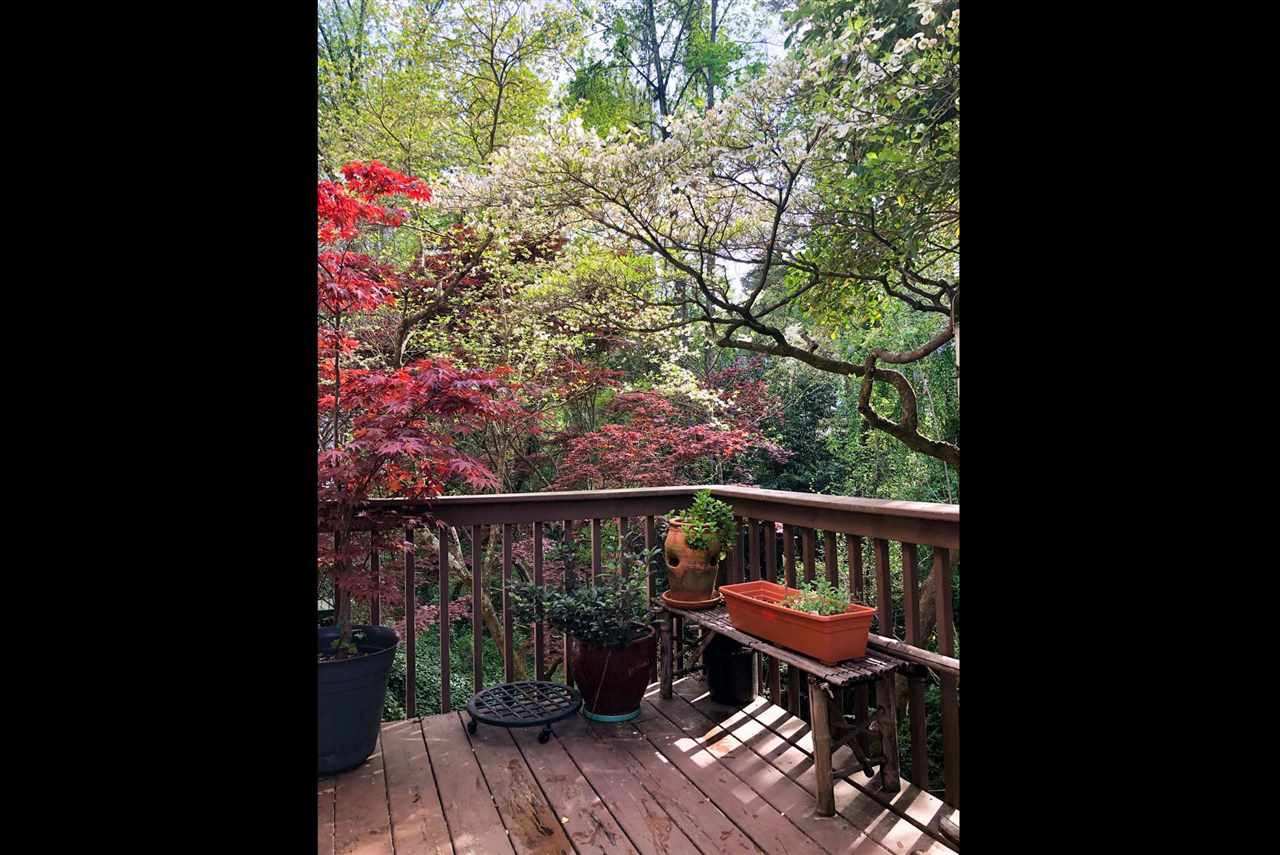 1209 Weldon Place Raleigh, NC 27608 - Photo 30 of 30 Photo 30