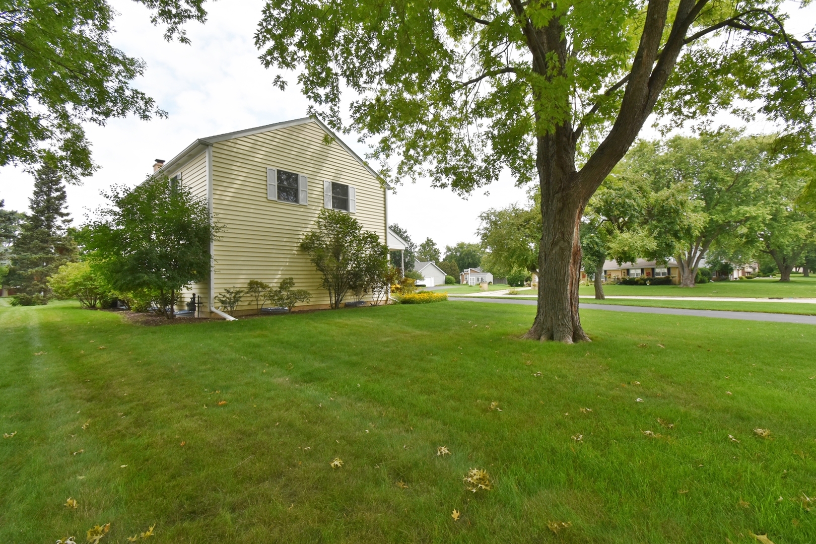 29 Manchester Way Aurora, IL 60506 - Photo 38 of 38 a view of a backyard with large trees