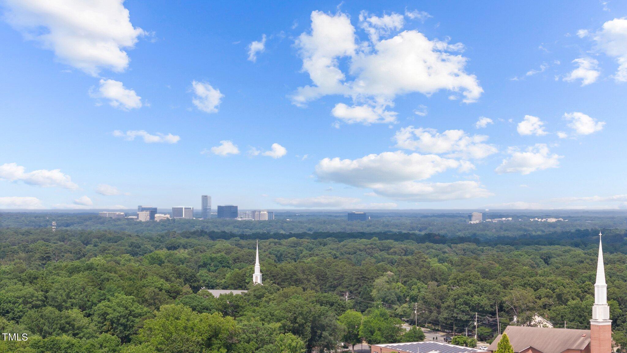 1817 Stillwater Drive Raleigh, NC 27607 - Photo 4 of 58 a view of a city with lots of trees