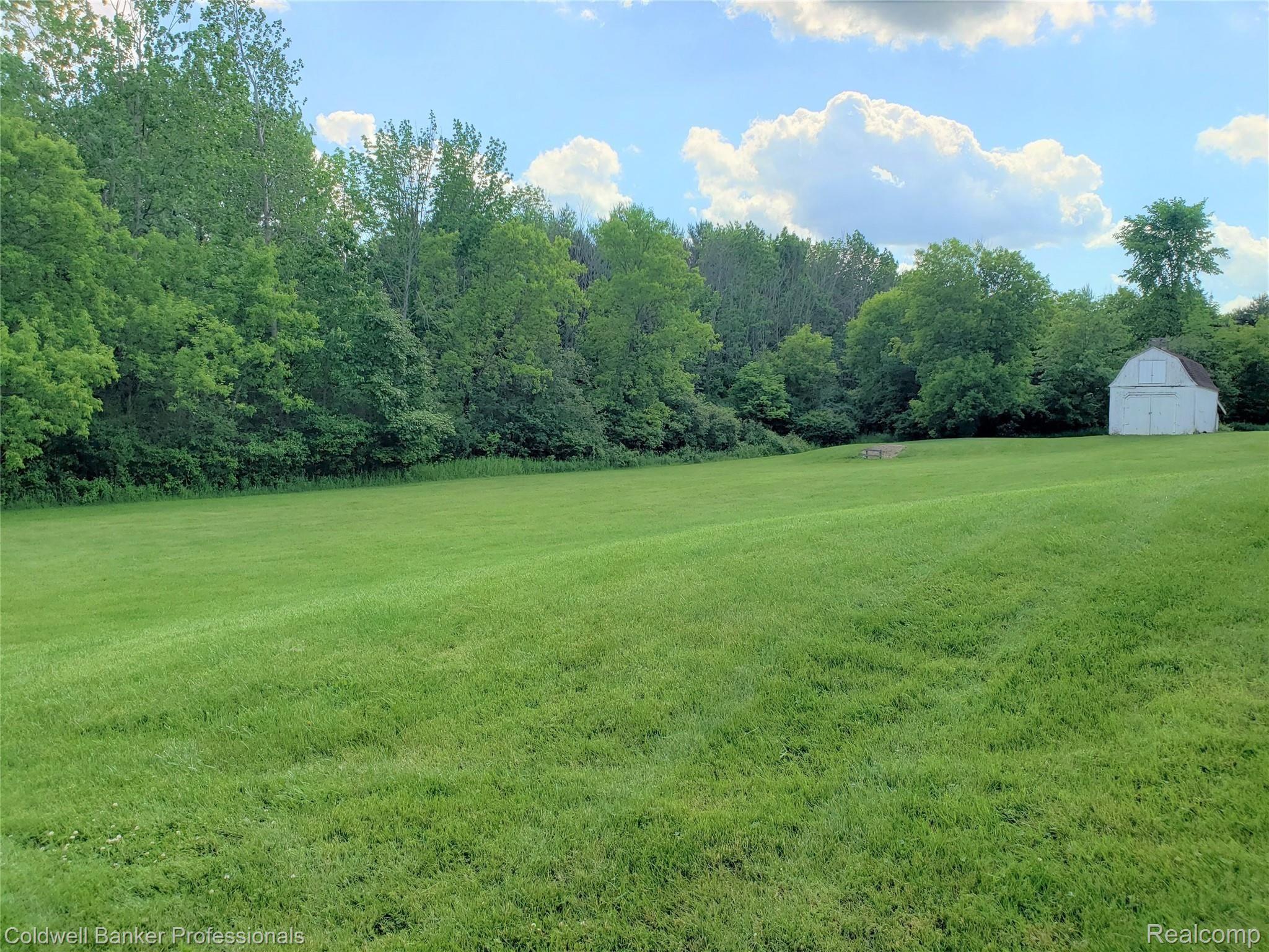 2040 Hasler Lake Road Lapeer, MI 48446 - Photo 12 of 38 South Side Lawn & Woods