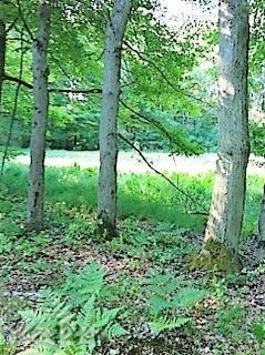 8453 North State Road Orleans, MI 48865 - Photo 15 of 27 IMG_0883