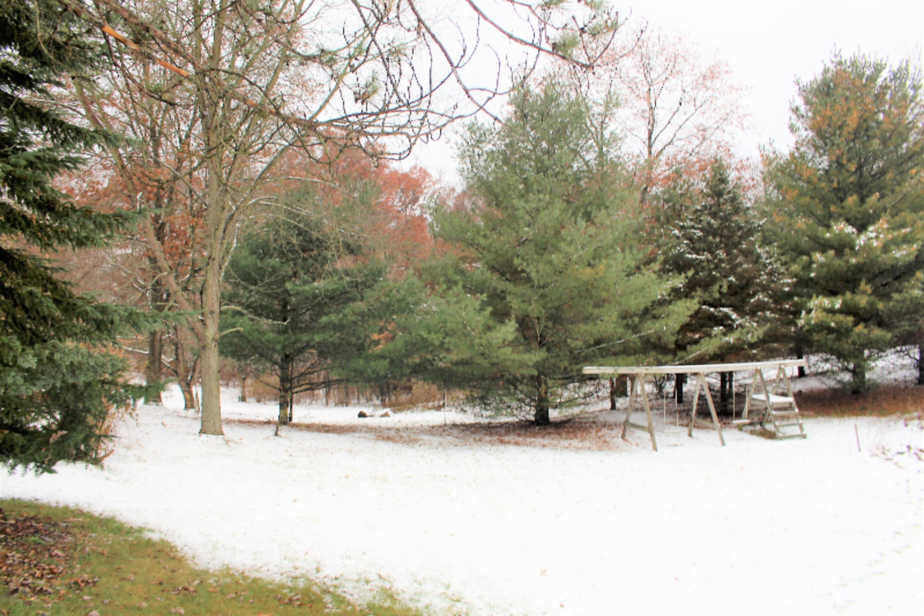 8453 North State Road Orleans, MI 48865 - Photo 22 of 27 IMG_7049