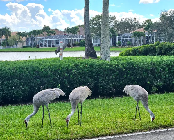 a front view of a house with garden and outdoor seating