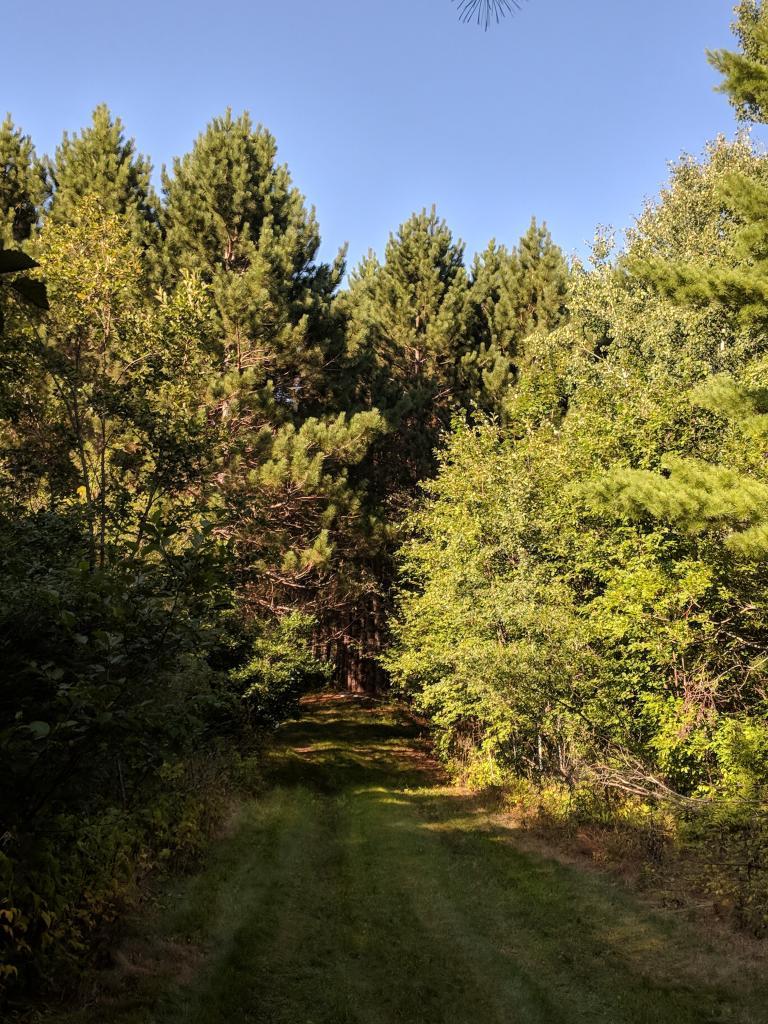 Xxx Degerstrom Road Askov, MN 55704 - Photo 1 of 1 Gallery Image 1