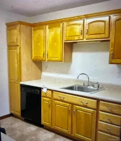 a kitchen with stainless steel appliances granite countertop a sink and cabinets