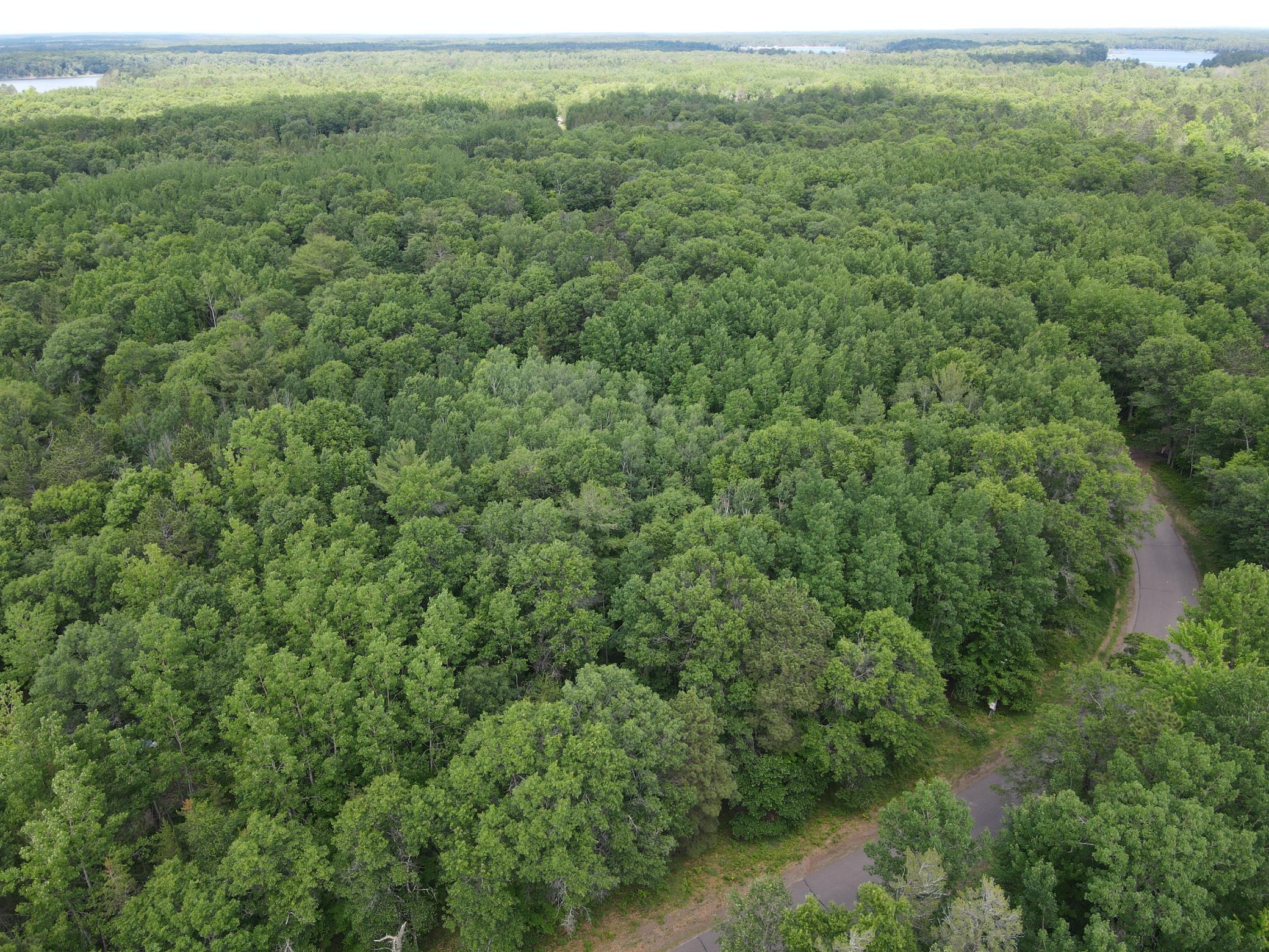 Lot 15 Loon Lake Road Danbury, WI 54830 - Photo 19 of 20