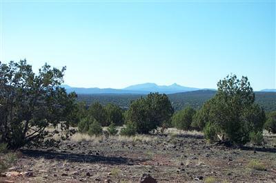 0 South Rim Ranch Williams, AZ 86046 - Photo 1 of 1 Primary Photo