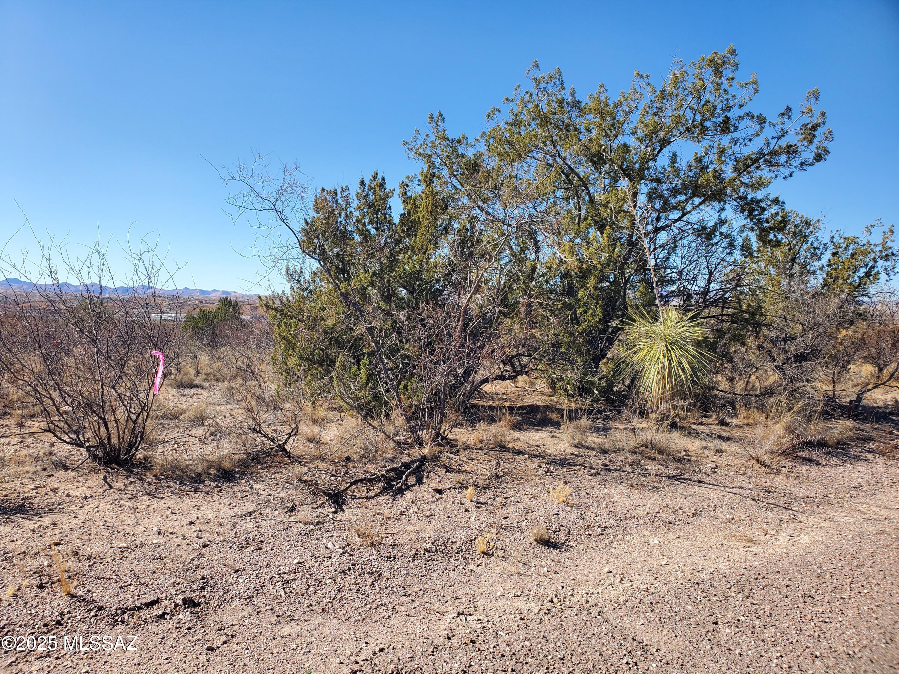 133 Juego Court, Unit 21 Rio Rico, AZ 85648 - Photo 9 of 11