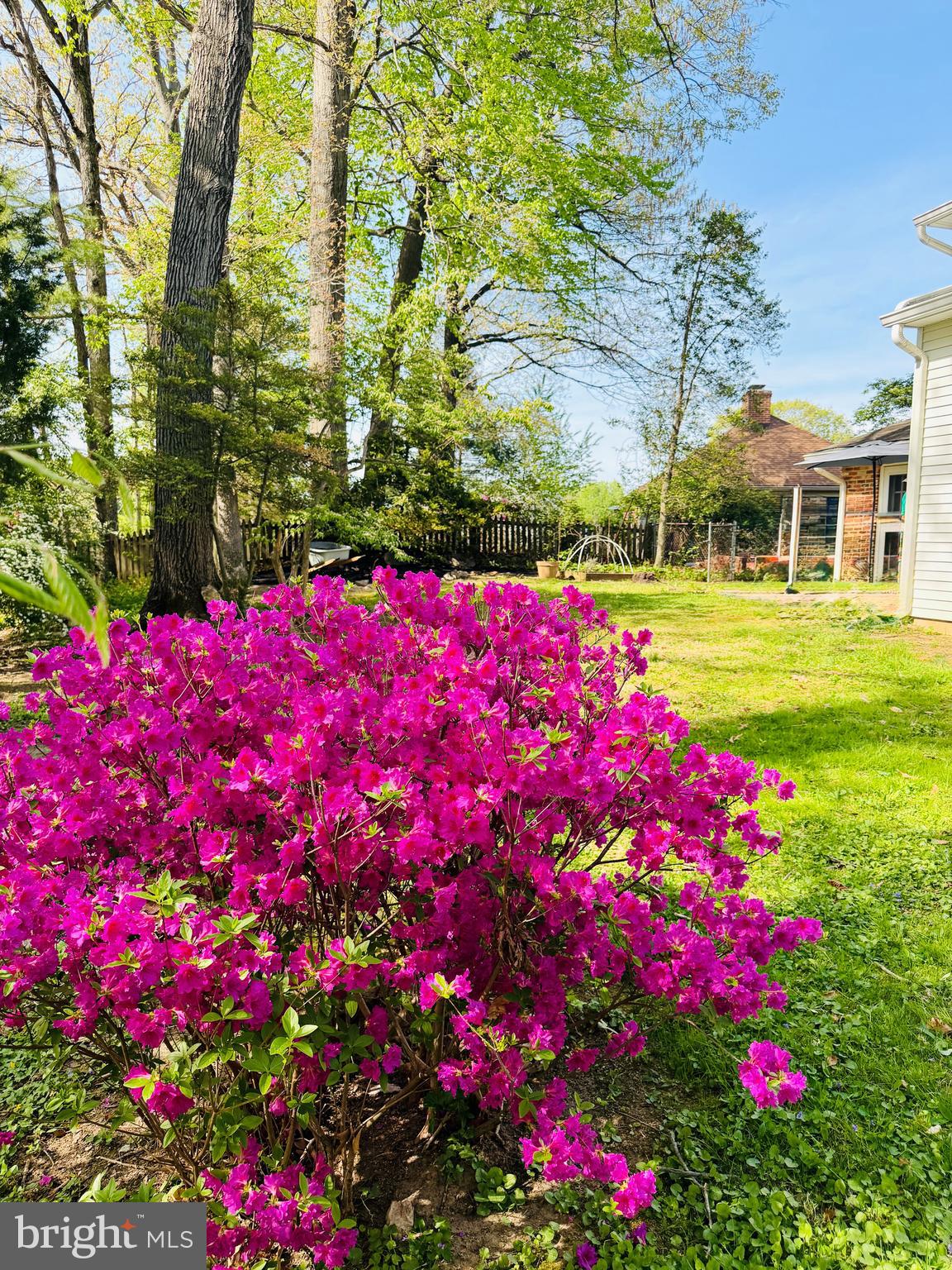 3308 Rocky Mt Road Fairfax, VA 22031 - Photo 54 of 65 The backyard flanked by mature landscaping