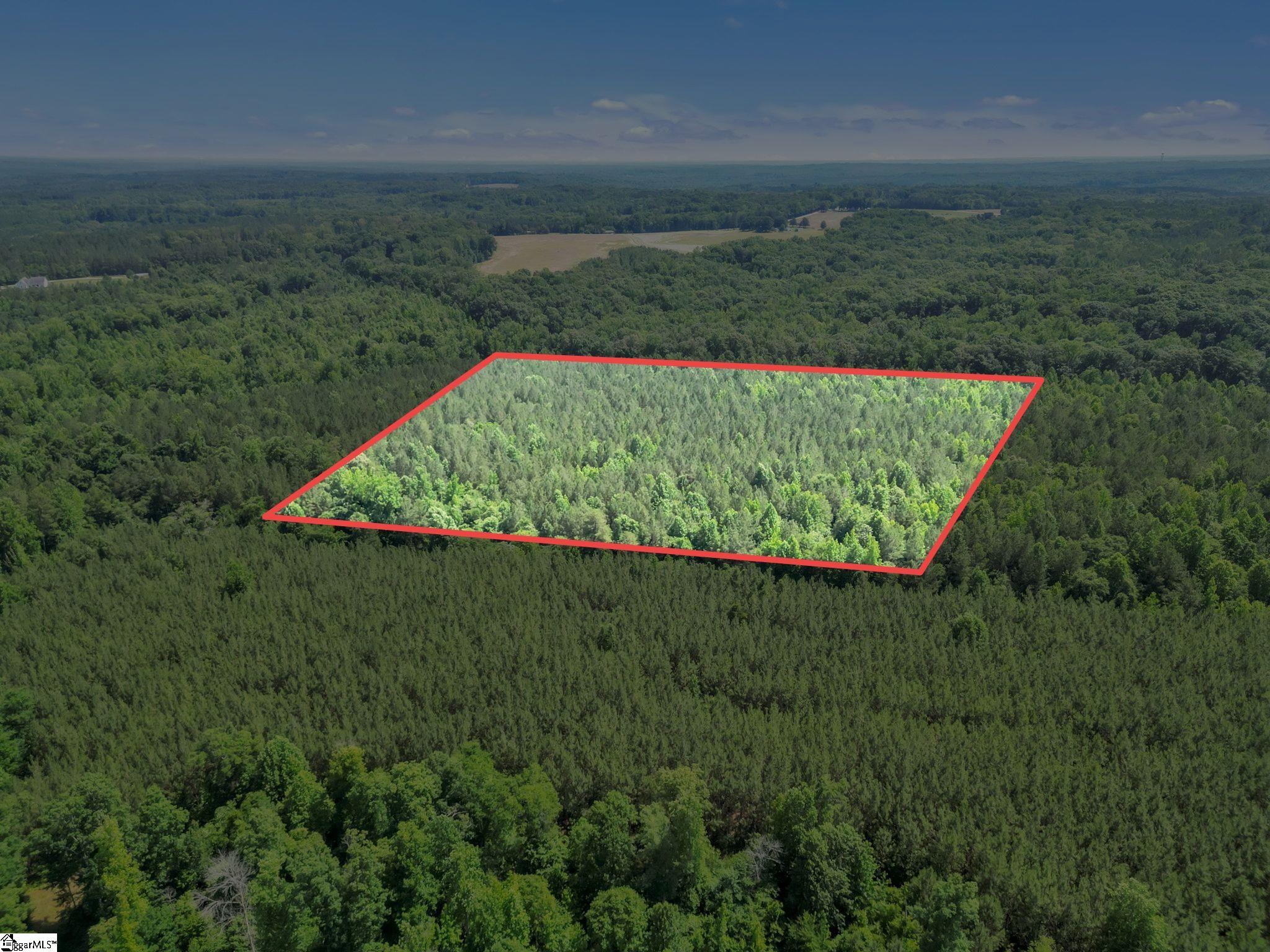 0 Simpson Mill Road Laurens, SC 29360 - Photo 6 of 20