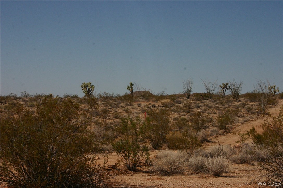 M14 Douglas Road Yucca, AZ 86438 - Photo 11 of 25