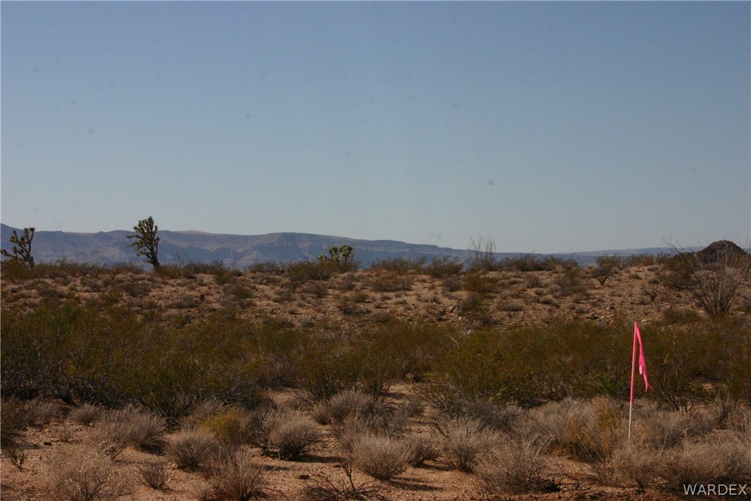 M14 Douglas Road Yucca, AZ 86438 - Photo 12 of 25