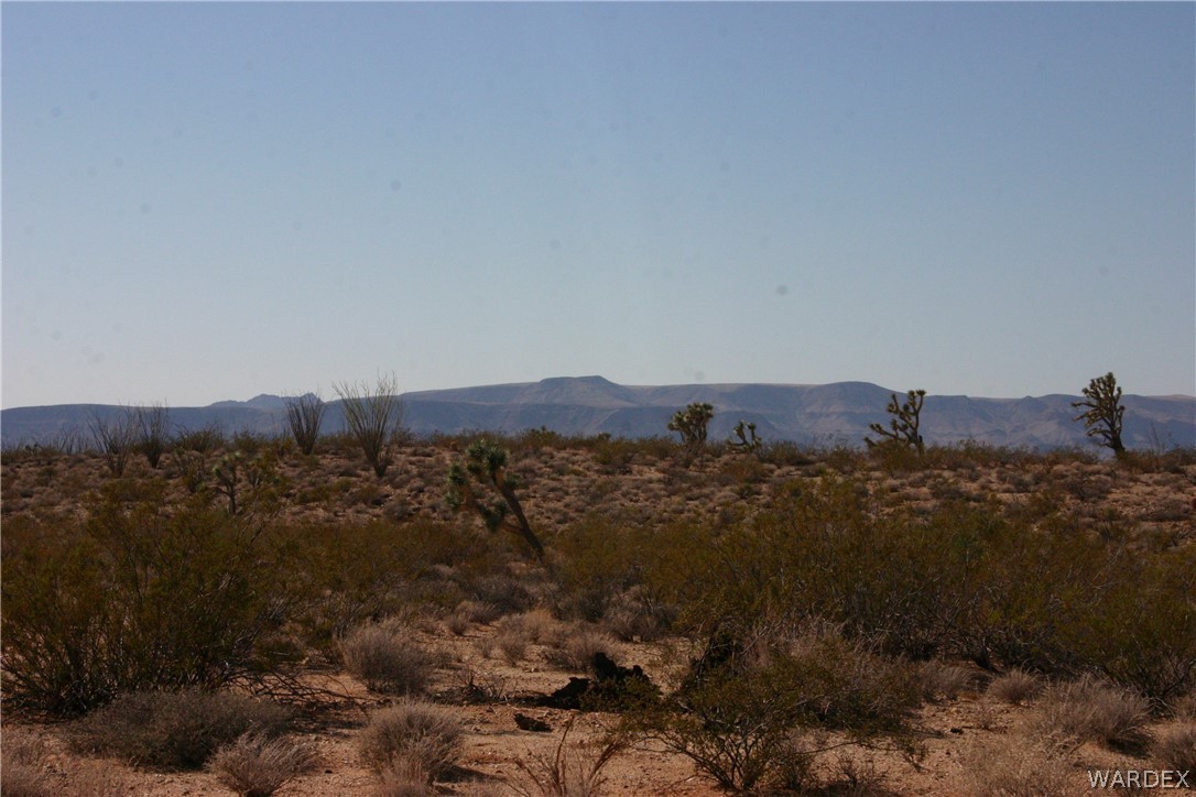 M14 Douglas Road Yucca, AZ 86438 - Photo 13 of 25