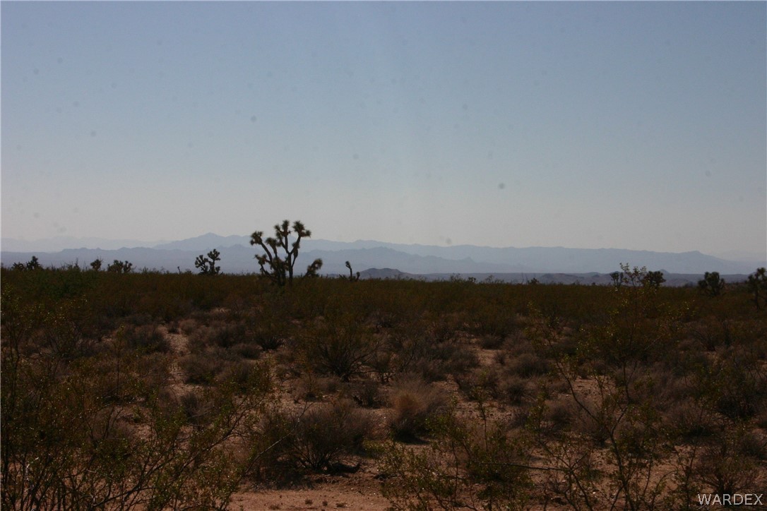 M14 Douglas Road Yucca, AZ 86438 - Photo 14 of 25