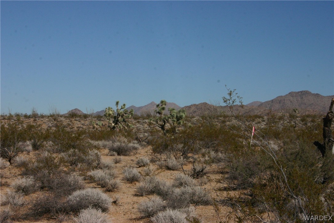 M14 Douglas Road Yucca, AZ 86438 - Photo 16 of 25