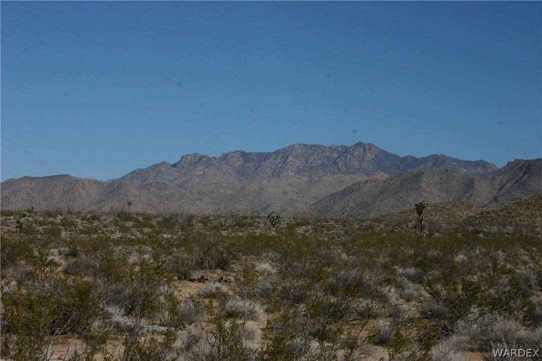 M14 Douglas Road Yucca, AZ 86438 - Photo 17 of 25