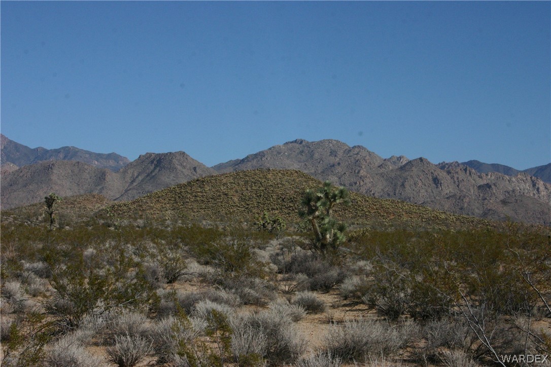 M14 Douglas Road Yucca, AZ 86438 - Photo 18 of 25