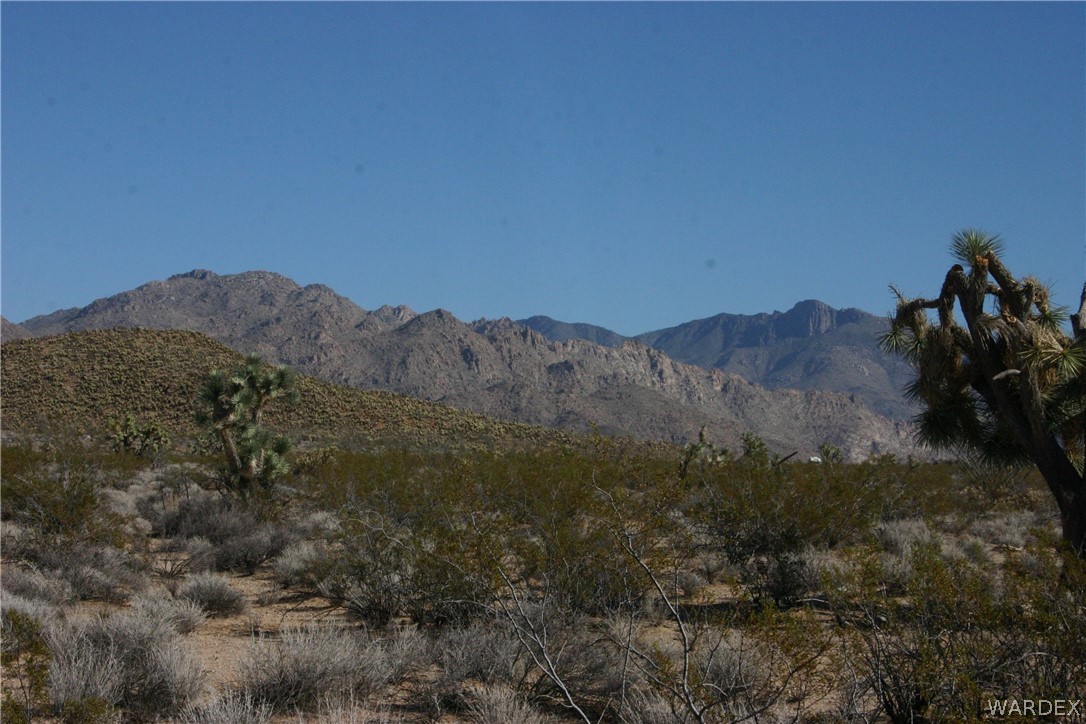 M14 Douglas Road Yucca, AZ 86438 - Photo 19 of 25