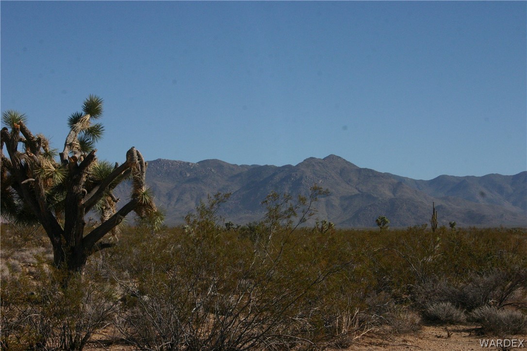 M14 Douglas Road Yucca, AZ 86438 - Photo 20 of 25
