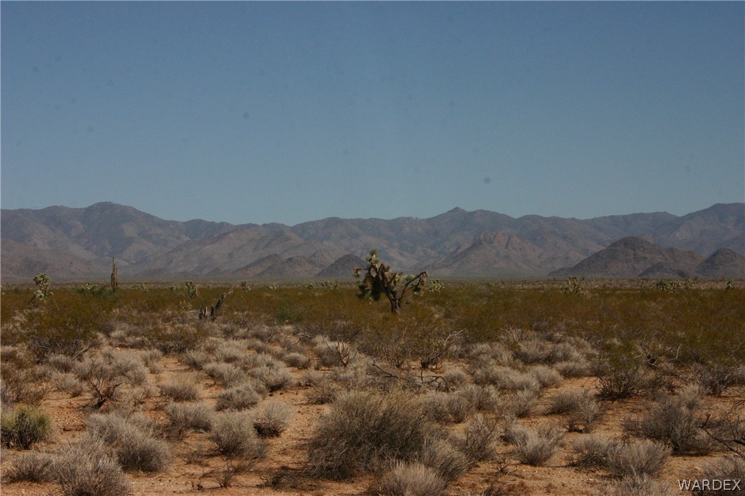 M14 Douglas Road Yucca, AZ 86438 - Photo 2 of 25