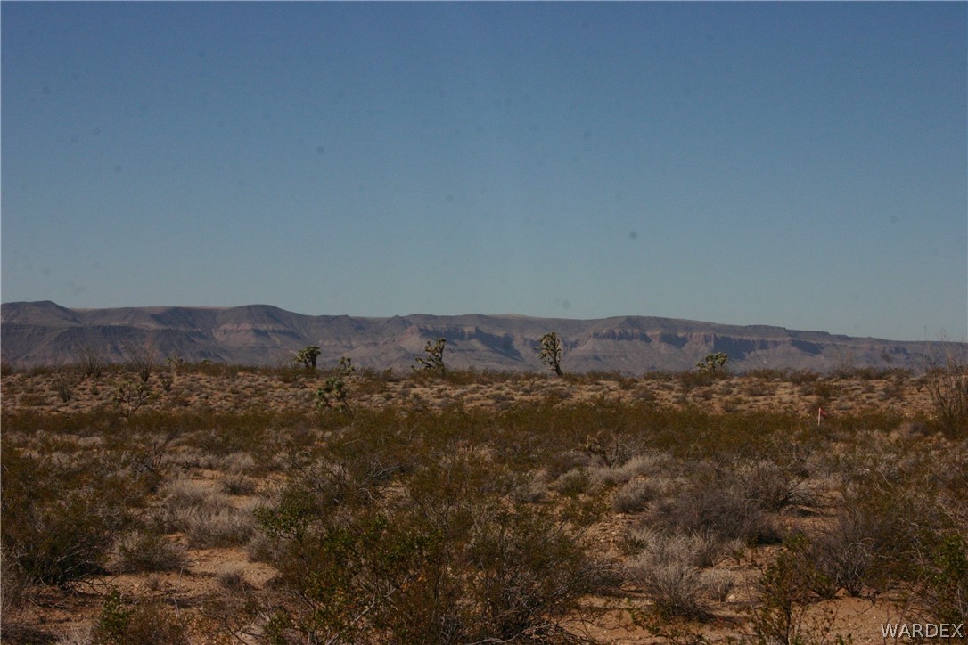 M14 Douglas Road Yucca, AZ 86438 - Photo 22 of 25