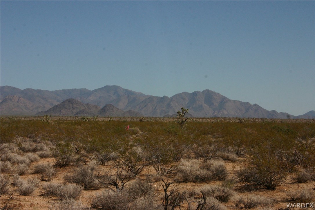 M14 Douglas Road Yucca, AZ 86438 - Photo 3 of 25