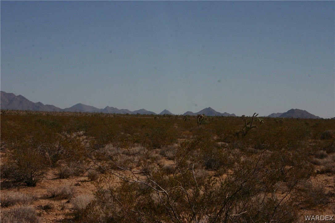M14 Douglas Road Yucca, AZ 86438 - Photo 4 of 25