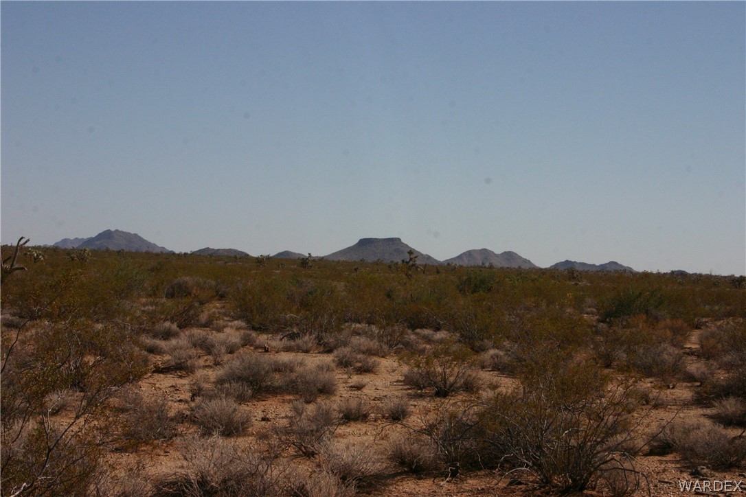 M14 Douglas Road Yucca, AZ 86438 - Photo 5 of 25