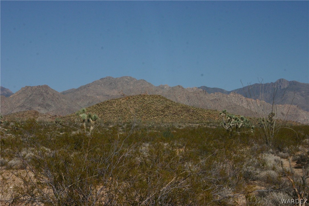 M14 Douglas Road Yucca, AZ 86438 - Photo 6 of 25